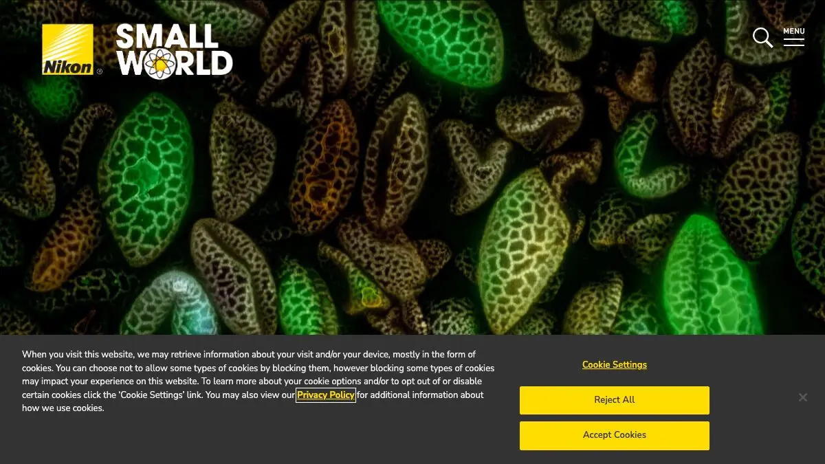 Screenshot of Nikon Small World